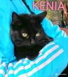 kenia