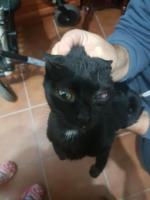 Kata Kata