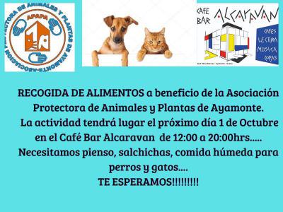 RECOGIDA DE ALIMENTOS EN AYAMONTE-BAR CAFE ALCARAVAN!!!!!!