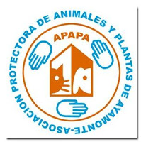 Logo APAPA