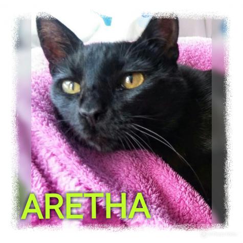 Aretha