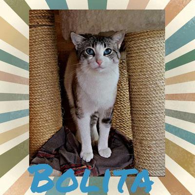 Bolita