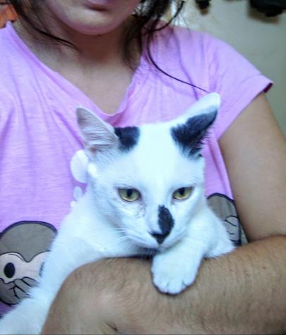 Elvis