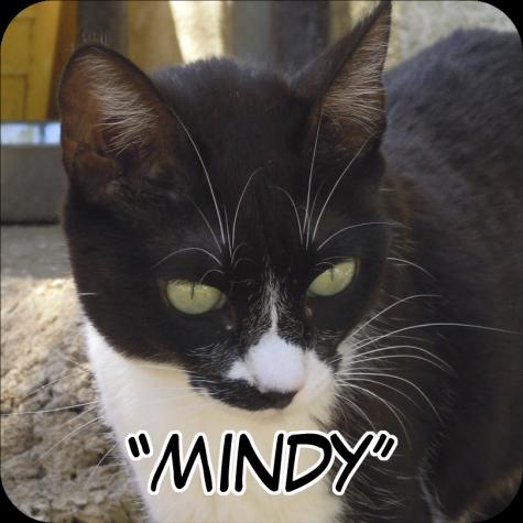 Mindy