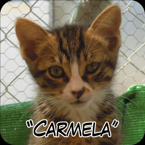 Carmela