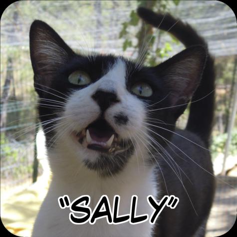 Sally