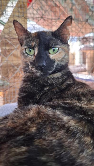 NALA