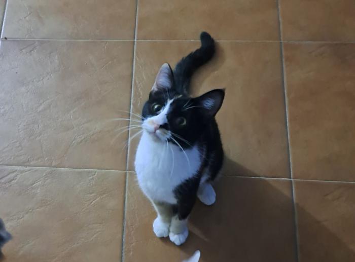 PILI