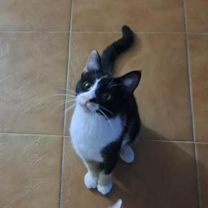 PILI