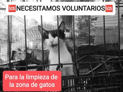 NECESITAMOS VOLUNTARIOS!!!!!!